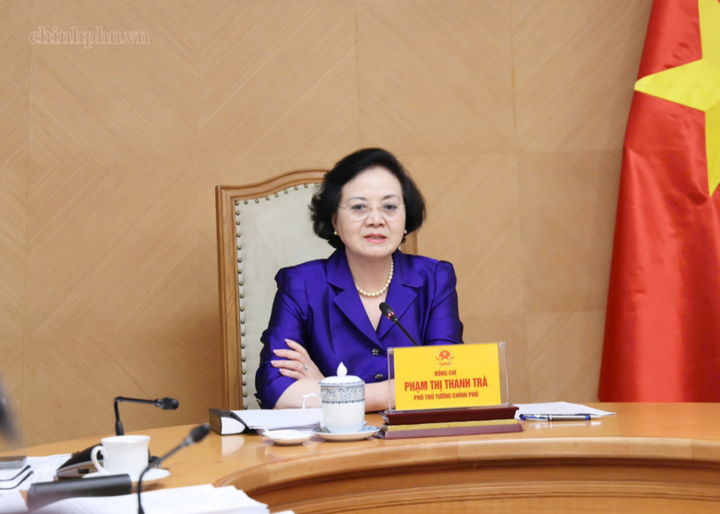 Phó Thủ tướng Phạm Thị Thanh Trà cho ý kiến về Đề án - Ảnh: chinhphu.vn/Thu Giang