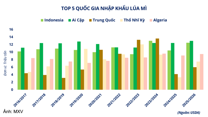 Top 5 quốc gia nhập khẩu lúa mì.
